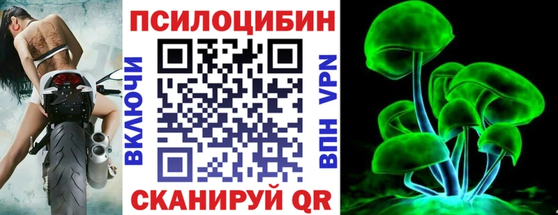 Галлюциногенные грибы Cubensis  Магадан 